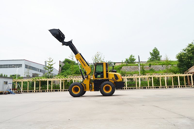 HW3000 Telescopic Loader - Image 3